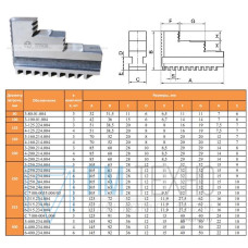 Патрон токарный Кулачки прямые  d250 3-250.244.004 (Гродно)