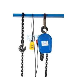 Таль электрическая цепная TOR ТЭШ (DHS) 2,0 т 9 м (серия J)